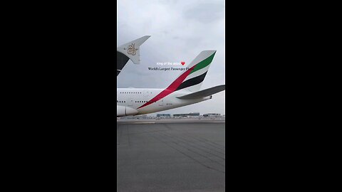 Fly Emirates fly the best flight