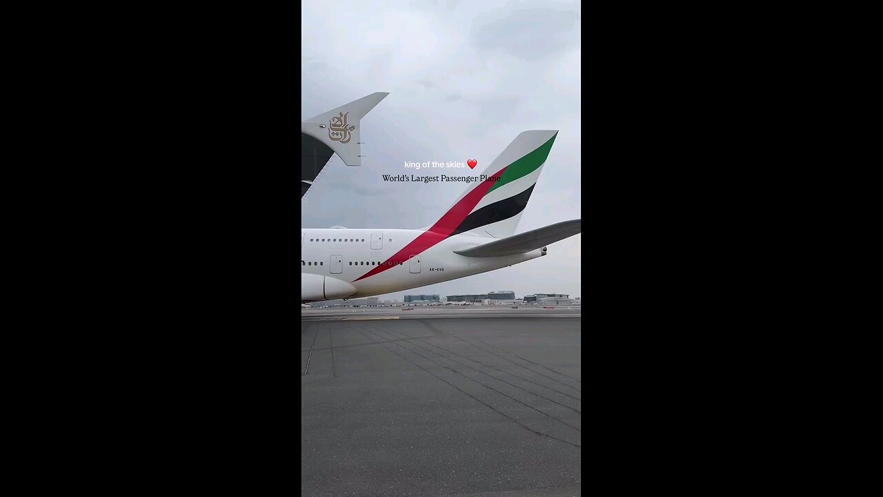 Fly Emirates fly the best flight