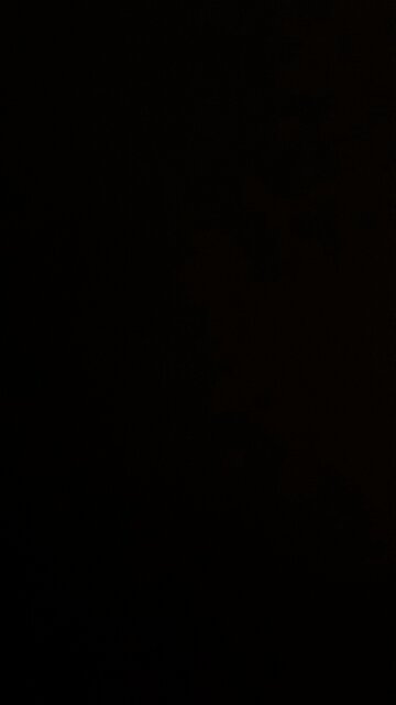 Rhodium Commodity Forecast