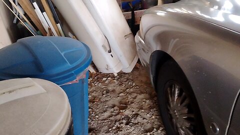 My son the cat whisperer