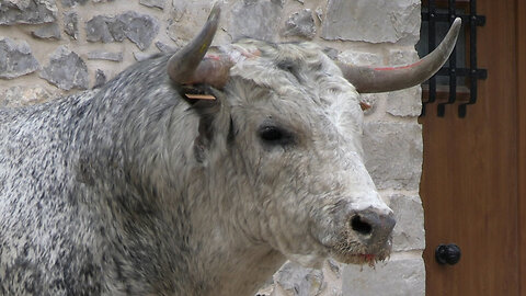 2025 08 11 FORTANETE LOS MAÑOS Nº50