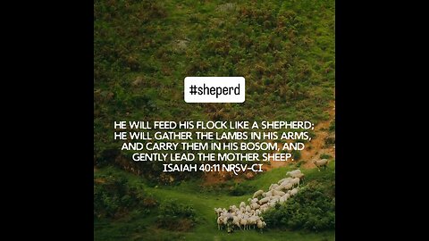shepherd #biblebuild #bibleverse #bibleverseoftheday #bible #christiantiktok