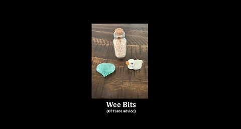 NEW! Wee Bits, Episode 1