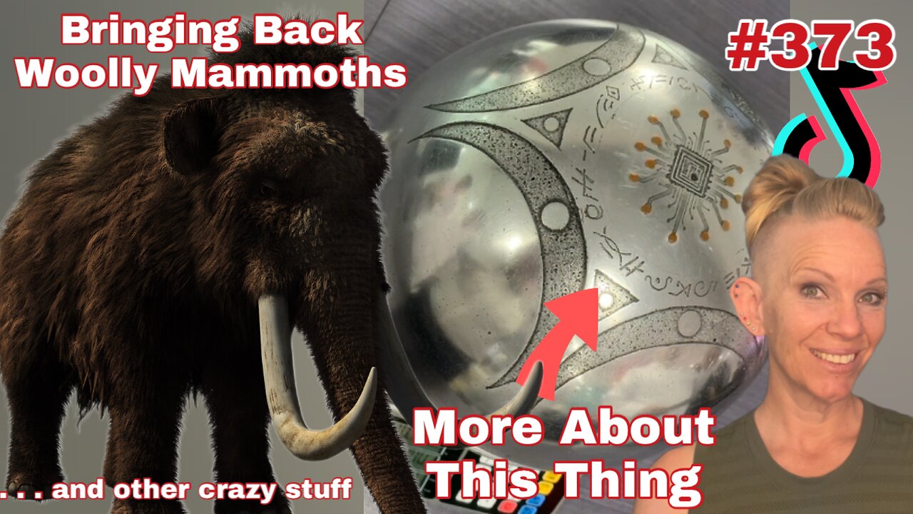 The Strangest Stuff on the Internet