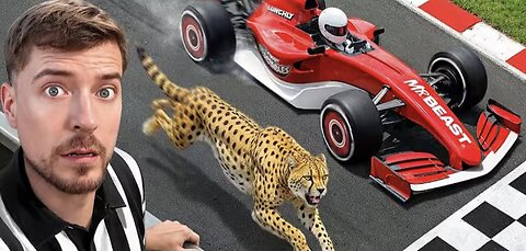 Cheetah vs World's Fastest Car