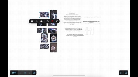 Ai Assimilation- What has happened part 2