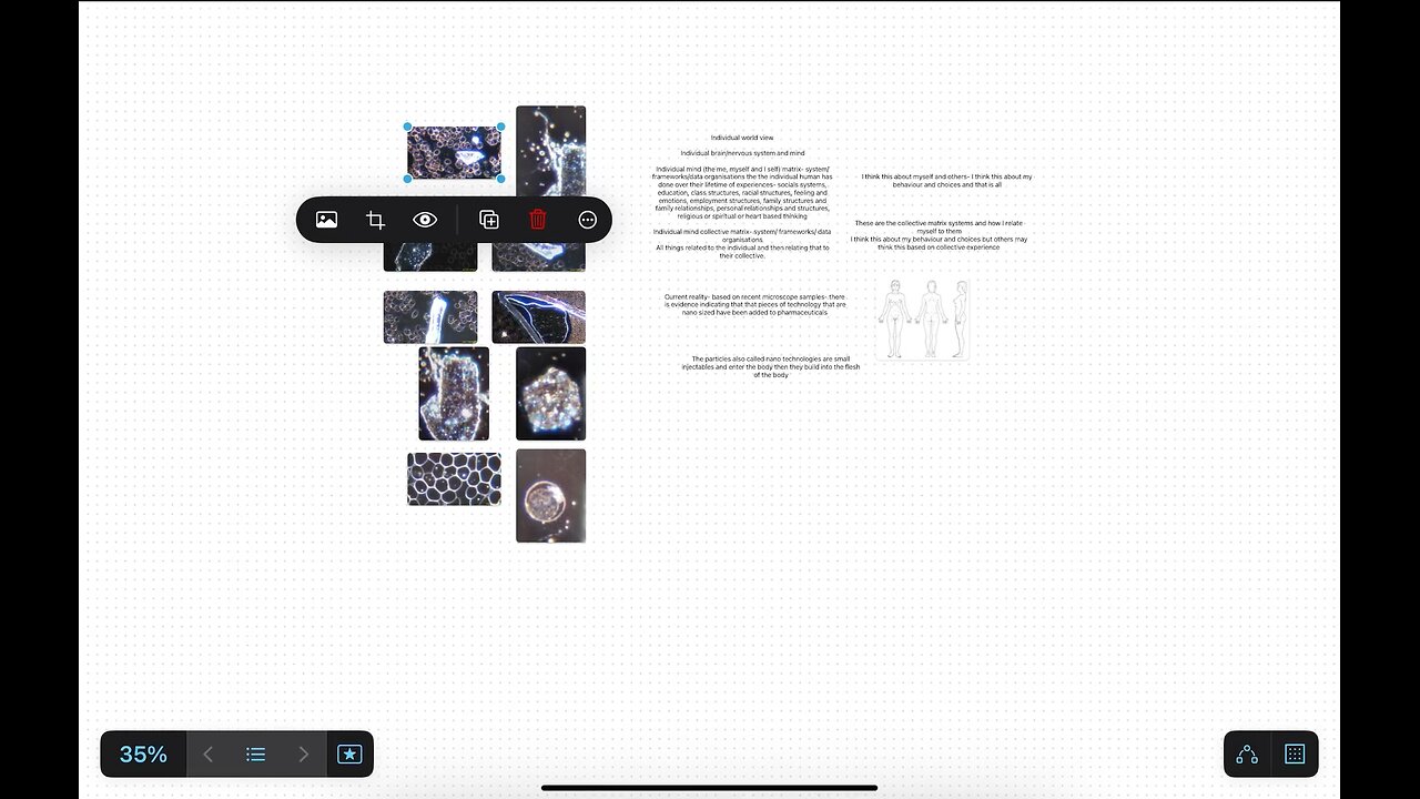 Ai Assimilation- What has happened part 2