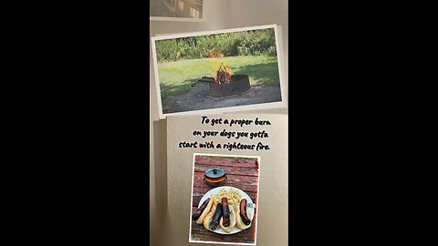 campfire dogs