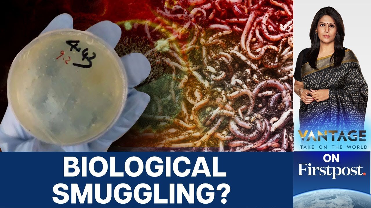 Another Chinese Researcher Arrested in US for Smuggling Bio Materials _ Vantage with Palki Sharma