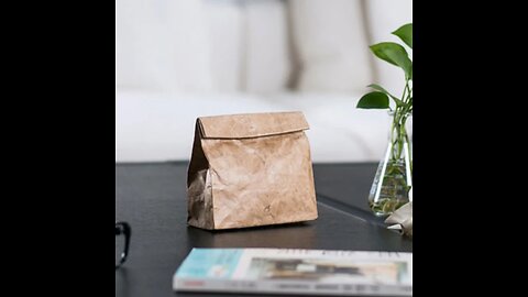 Universal Electronic Organizer, with Kraft Paper Material, Minimalist Design & Snap Button
