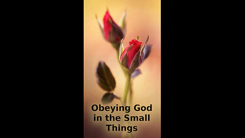 Mari 💐 543 ~ Obeying God in the Small Things
