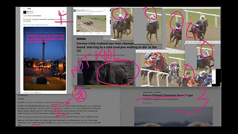 VIDEO 409 BRATTIN OFF ABOUT RASIN HEAD FXERS AND HORSE FLOGGERERSS MAKKKLAREN WOMAN FXERER TROLLS WITH A TOPIN OF LIERER KROWN SKRUBBER SERER LEWIS HAMILTON BACK THE FX AT YA WOMAN HEAD SWMAKERERSS KRUISERS SKUM TROLLS 121204072025 RELEASED 122004072025