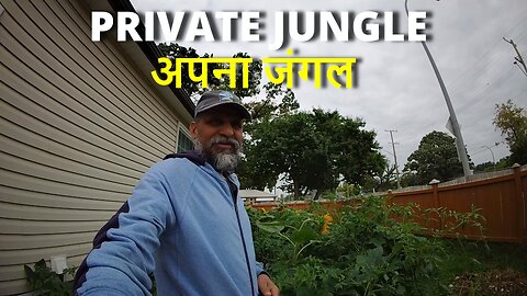 PRIVATE JUNGLE अपना जंगल #bharat #canada #samraatbharat #shivrawat #rawat #india #pahadi #punjabi