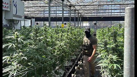California Rep. Salud Carbajal Doxxed ICE Agent Who Participated In Raid His Donor's Marijuana Farm