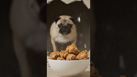 🐕🐶