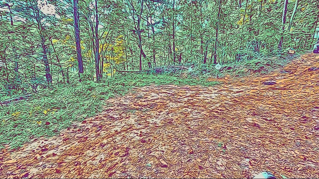 Gotta love airsoft..