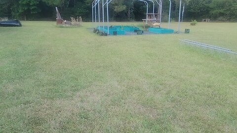 The Teenagers are starting to lay.