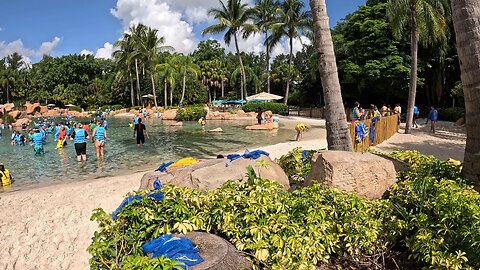 Discovery Cove, Orlando FL