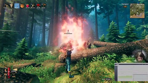 Taking down a Bear 🐻