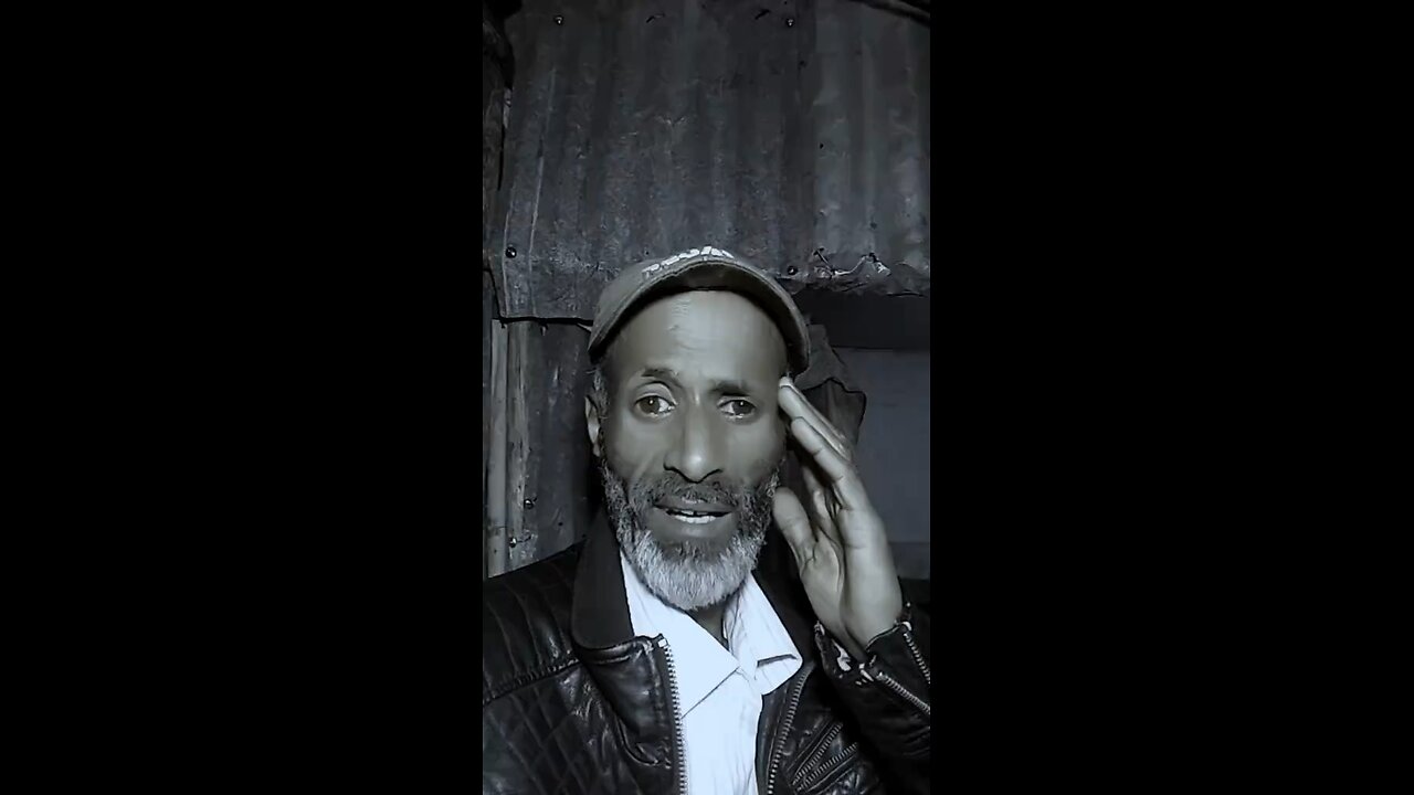 Habesha vibe