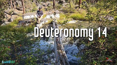 Deuteronomy 14, Bible Reading in Nature, BSB