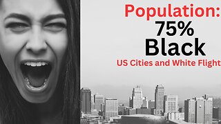 10 US Cities That Got Too Black for White Americans