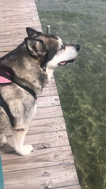 Monday, May 19,￼ If you see a poor person being oppressed by the powerful.