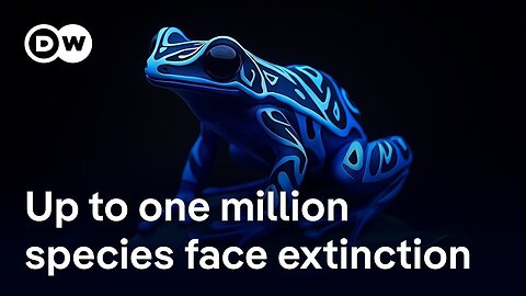 Is it enough to save species in parks or do we need to rethink how we live? | DW News