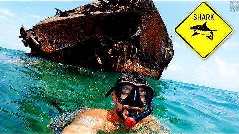 Peligro de Tiburones! San Andrés Islas Colombia 5k Video