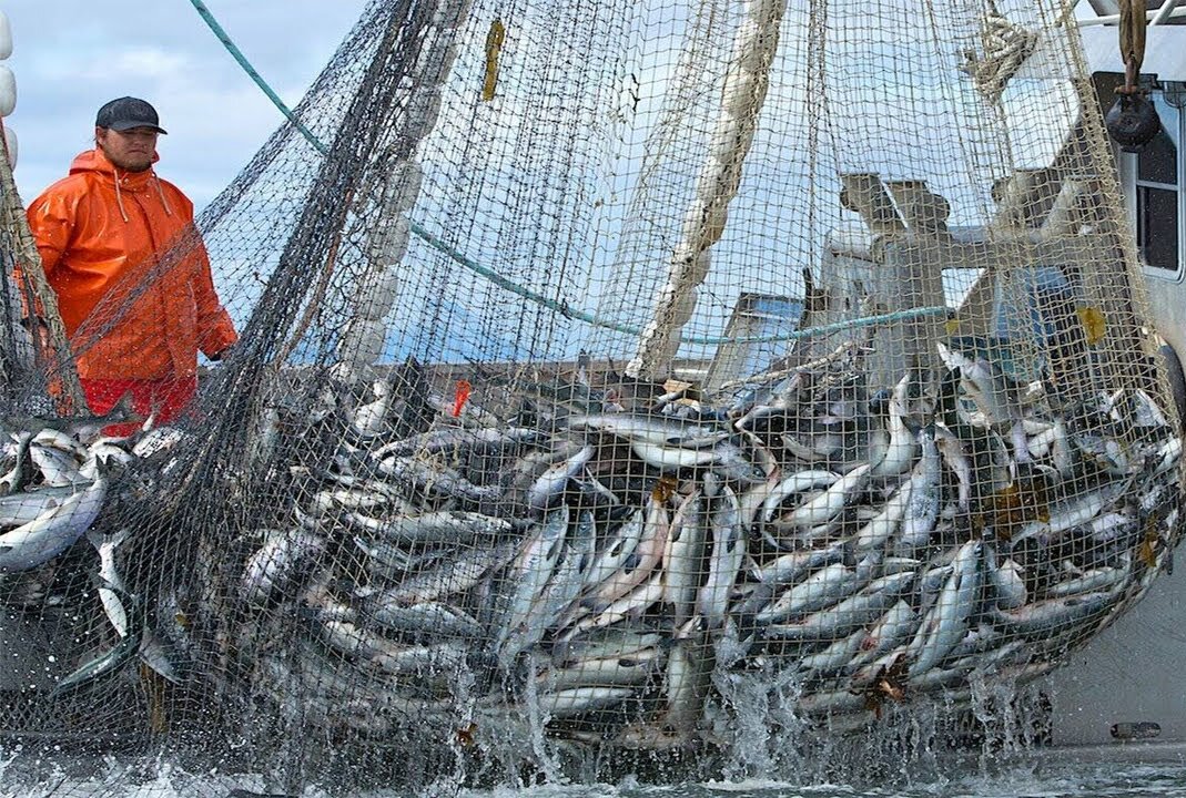 How To Fill Your Nets