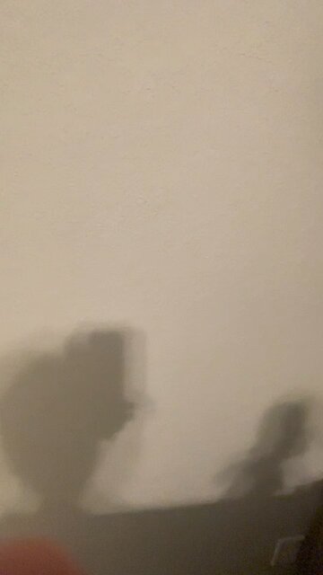 The live stream is canceled😭😭😭😭😭😭😭😭