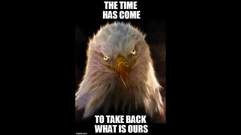 Rise Of The MAGA Force