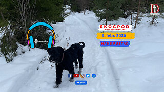 Skogpod 9. februar 2026