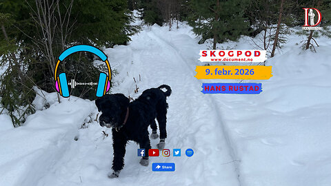 Skogpod 9. februar 2026
