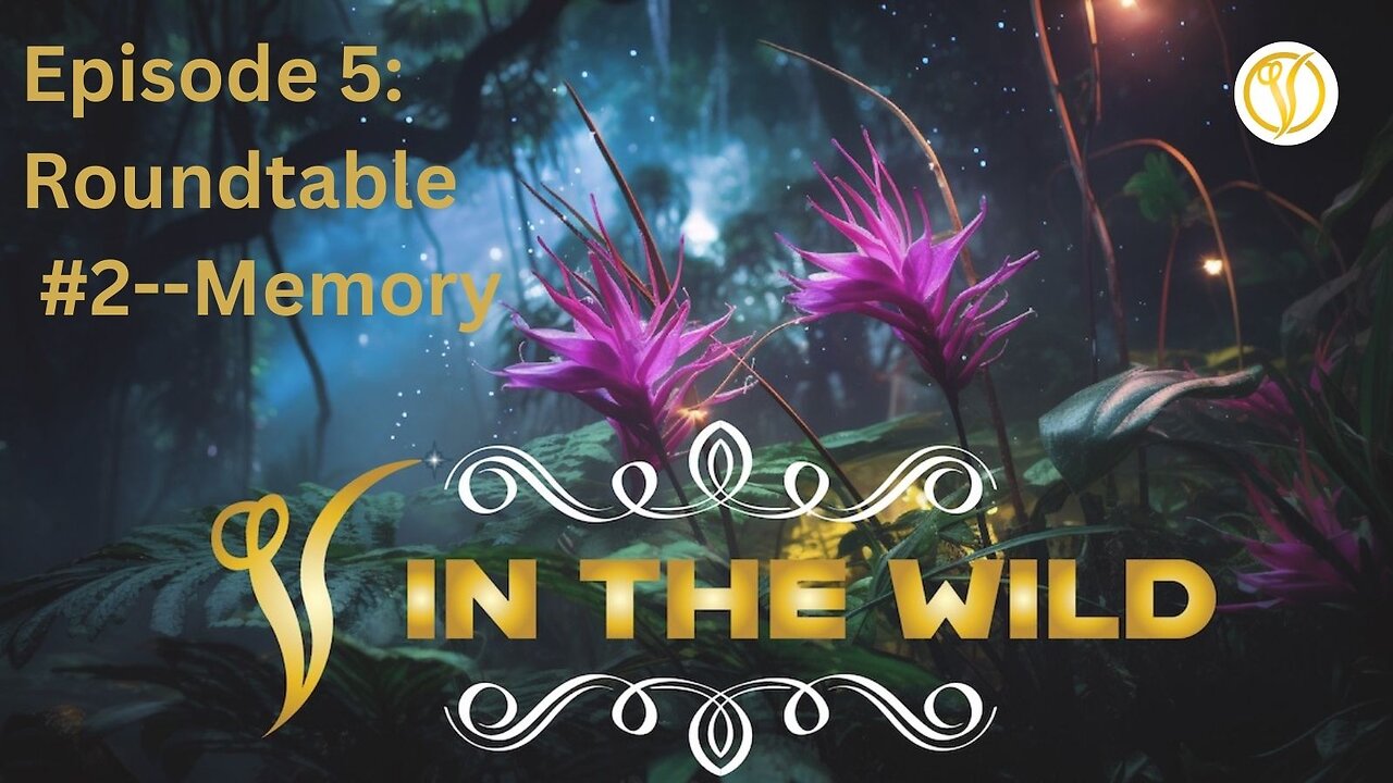 V in the Wild Episode 5 Roundtable #2 - Memory