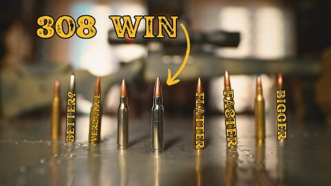6 Cartridges Better Than 308