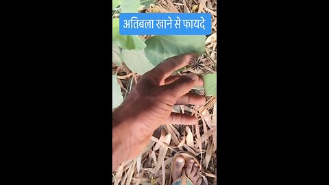 कमजोरी का घरेलू इलाज ।