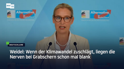 Weidel: Wenn der Klimawandel zuschlägt, liegen die Nerven bei Grabschern schon mal blank