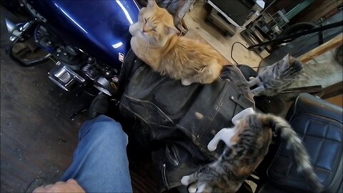 Not getting much done today