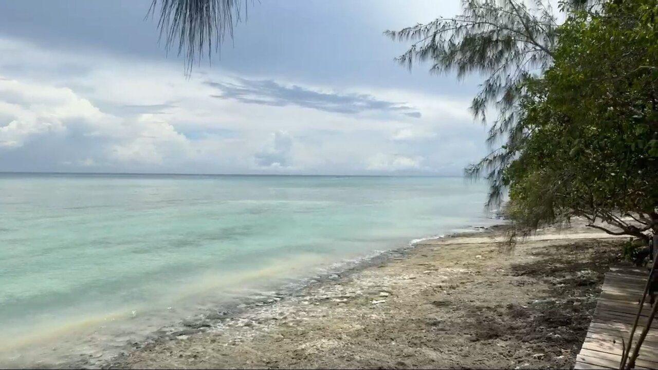 Pemba Impressionen - 26.03.2025