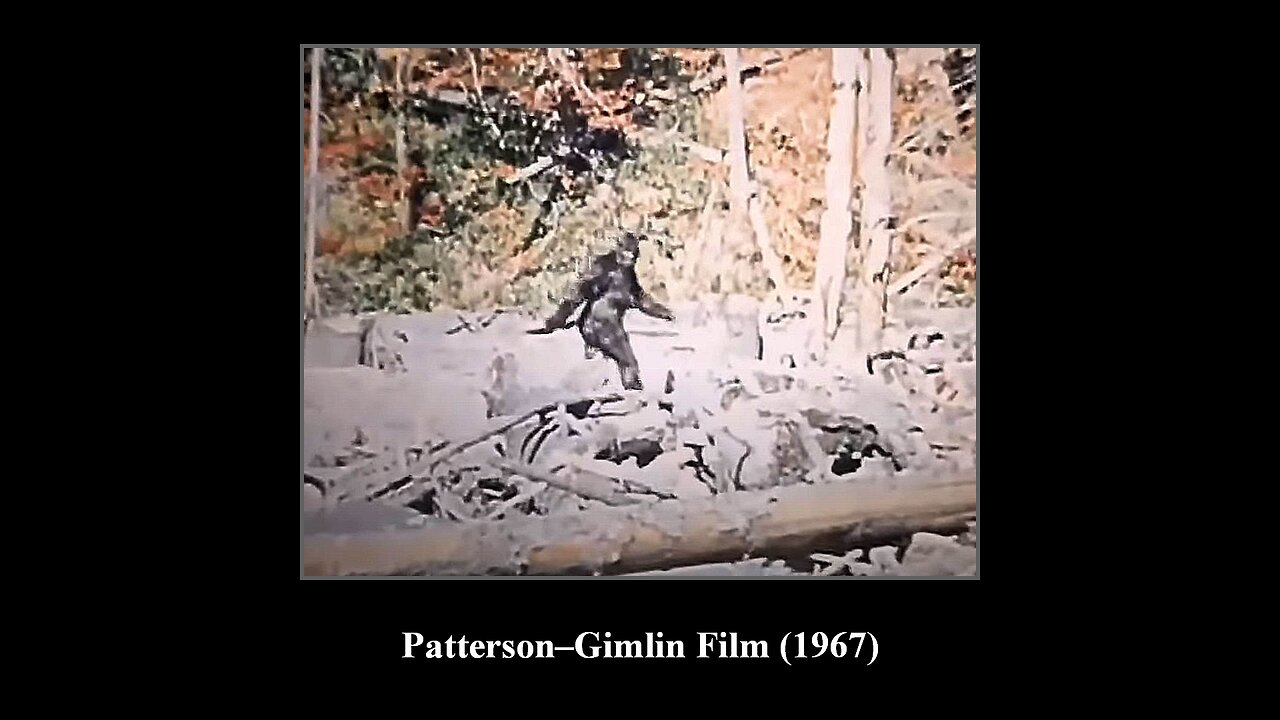 Bigfoot (Part#1)