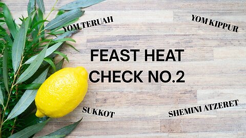 FEAST HEAT CHECK NO.2