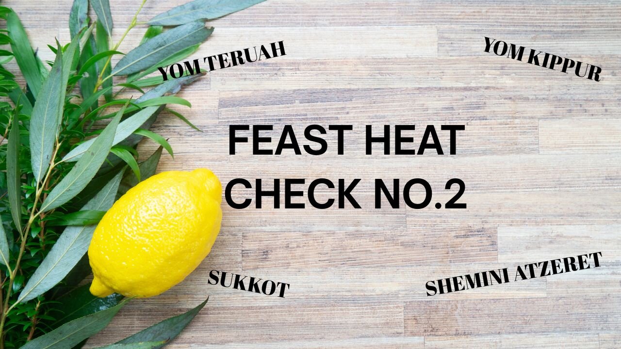FEAST HEAT CHECK NO.2