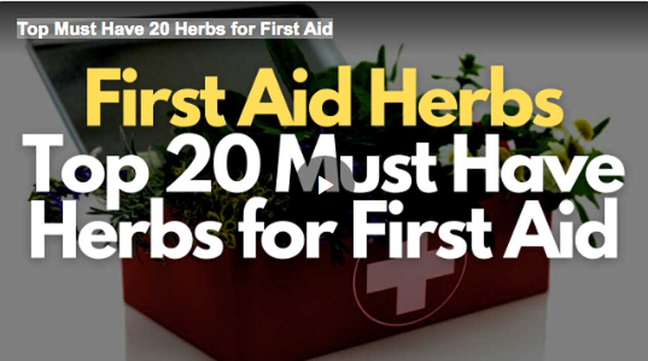 "20 Essential Herbs for Your First Aid Kit"