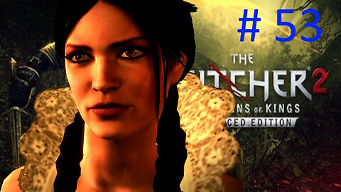 Let's Play Witcher 2 BLIND # 53 ⭐The Spellbreaker ⭐