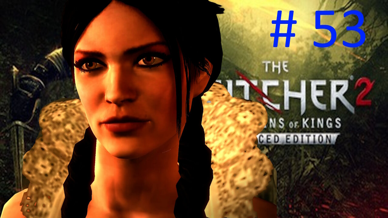 Let's Play Witcher 2 BLIND # 53 ⭐The Spellbreaker ⭐