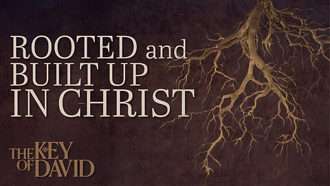 Rooted and Built Up in Christ | KEY OF DAVID 7.3.25 9PM