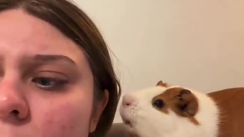 Conspiracy Guinea Pig