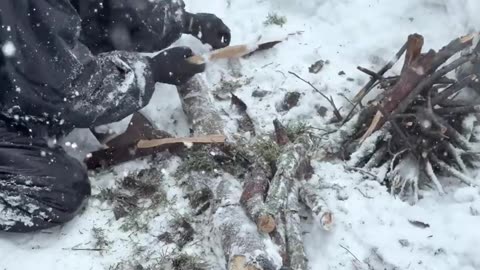 I Survived a Blizzard at -43°C with Only a Tarp | Off Grid Camping with My Dog Shadow