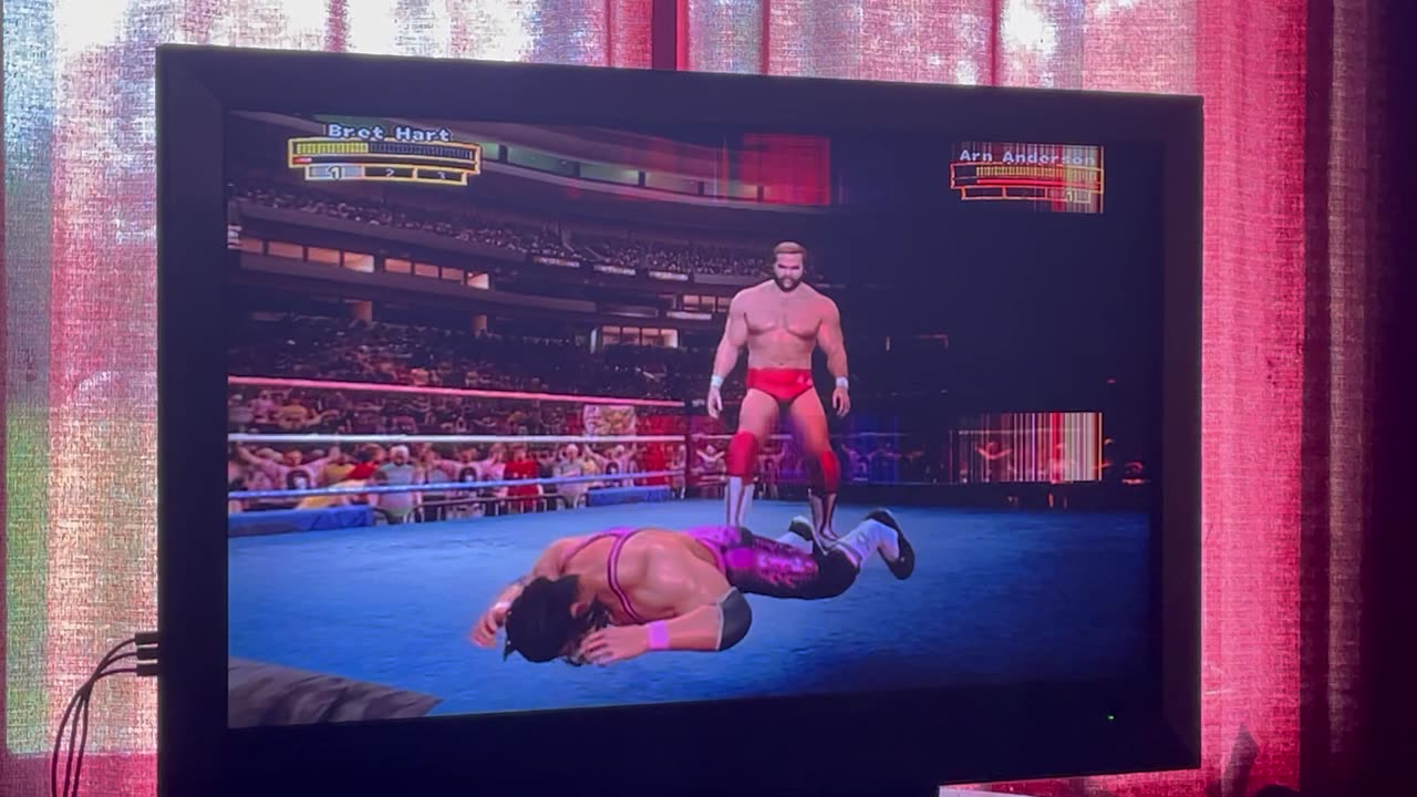Bret Hitman Hart Vs Arn Anderson